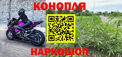 прущие грибы Бузулук