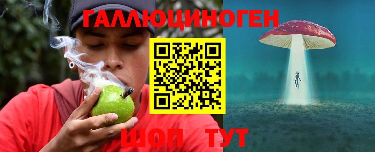 Псилоцибиновые грибы Psilocybe  Вход с VPN  Ступино 
